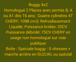 caractéristiques yamaha raptor 700