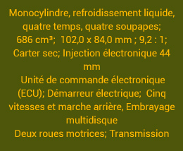 caractéristiques buggy